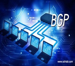 高防服务器租用线路的选择-BGP高防服务器-嘉兴BGP-全网互通性