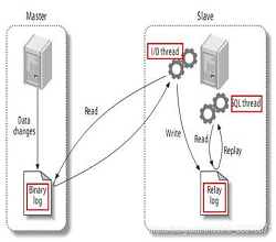 服务器Mysql主从复制原理——指南篇