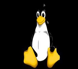 怎样让Linux自动重启服务？宇众网络国内高防服务器