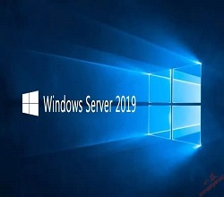 Windows和linux服务器使用上有什么不同？