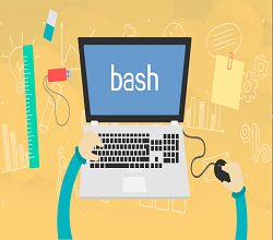 Bash漏洞检测及解决方案-宇众网络服务器销售