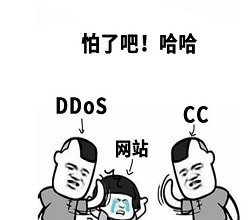 论SEO和防ddos攻击的重要性-国内高防服务器